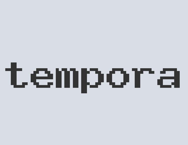 Enormous Leather Data Basket
